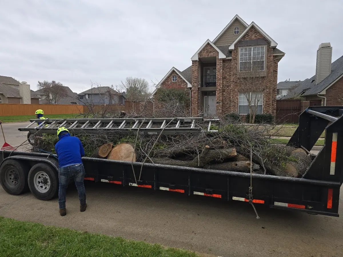 Expert Lot Clearing with proper safety equipment in Edwardsport